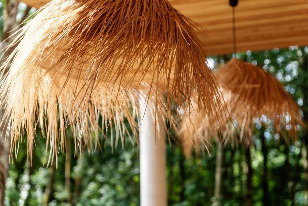 Dans Les Arbres Bed and Breakfast Lanta Esterno foto